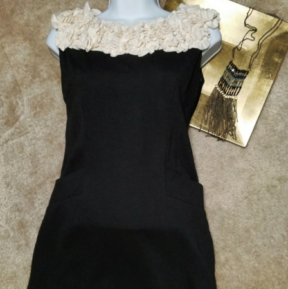 ⚡️FINAL SALE⚡️👗Vintage Dress by Taylor